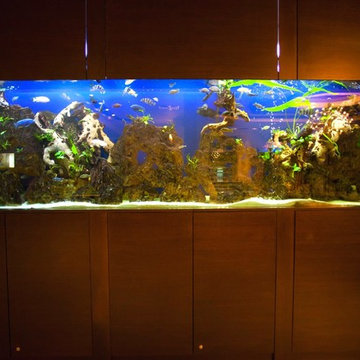Custom Residential Aquarium Installations
