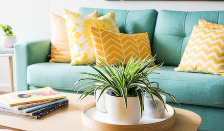 Spotlight On: E-Decorating