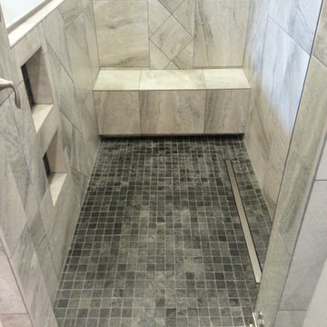 Larsen Project