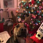 Foto de Tracy Kimball