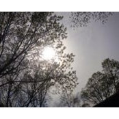 Mary Walker's photo