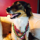 Foto de Tammy Bourque
