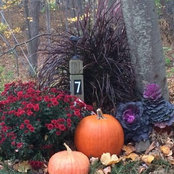 Laura O'Keefe's photo