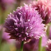 Jon Yard's photo