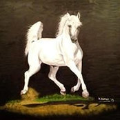 Walid Hamoud's photo