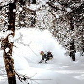 Matteo Pastega's photo