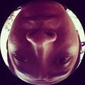 Fauzan Mahmods foto