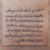 Ayah Abu Mokh's photo
