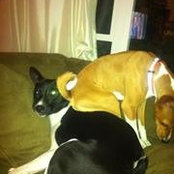 Viviane Deering's photo