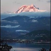 Gina Matena's photo