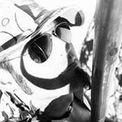 David Koontz's photo