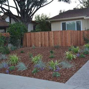 Lawn is removed and color and texture added