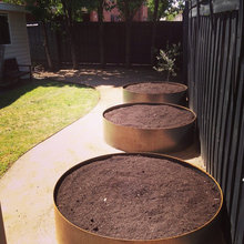 Vege Garden