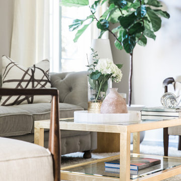 Dramatic Transitional | Myers Park New Build