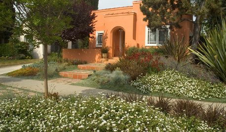 How to Replace Your Lawn With a Garden