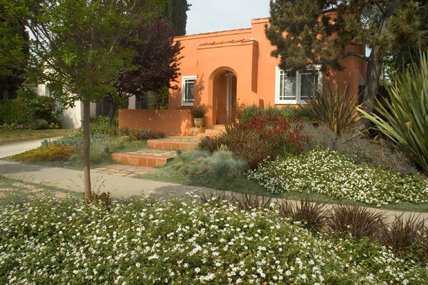 Mediterranean Garden by June Scott Design