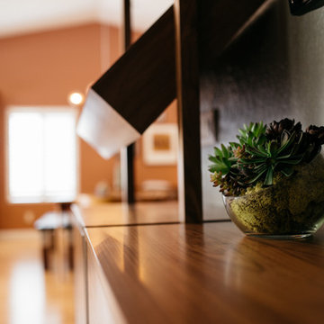 Carlsbad Mid Century Modern