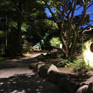 A most Unique Property with some Specimen Plant materials over 100 years old