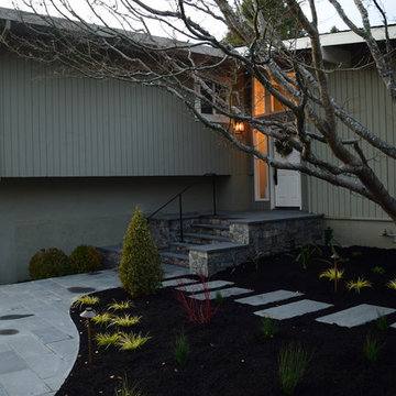 Entry pathway and steps