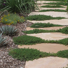 Annapolis Backyard Ideas