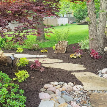 2025 Garden Highlights