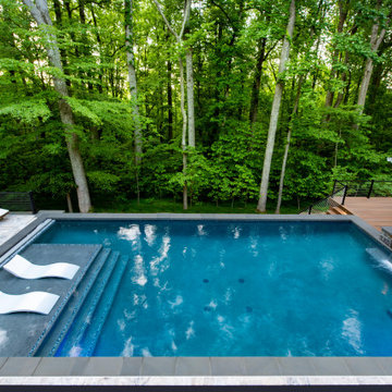 Treetop Oasis
