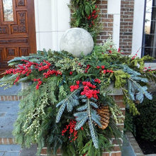 Winter Foliage