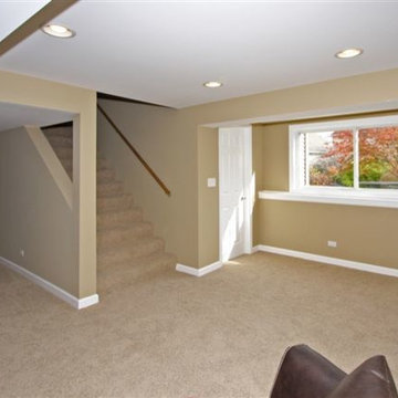 Carol Stream Basement Remodeling