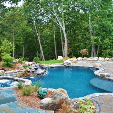 Freeform Pool with Spa Combo 2017