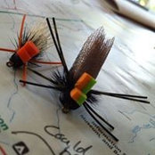 Thomas Brooks's photo