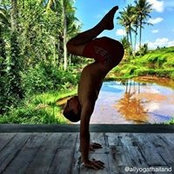 David Lertsin's photo
