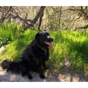 Foto von Susan Nelson