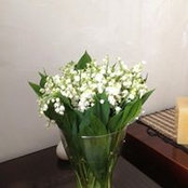Foto von Людмила Новицкая