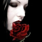 Silver Raven's photo