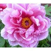 Brian Hughsam's photo