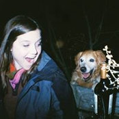 Alison Zimmerman's photo