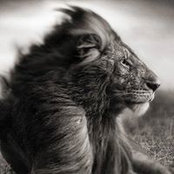 Cédric Borderie's photo
