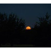 Manuela O'Connell's photo