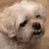 Patti Frediani's photo