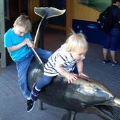 Amy Johnson's photo