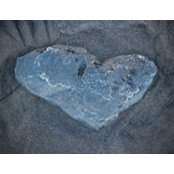 Tracy Turner's photo