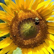 Tami Darley's photo