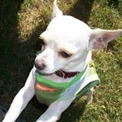 Jennifer Freeland's photo