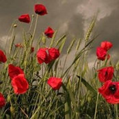 Gwen Barton's photo