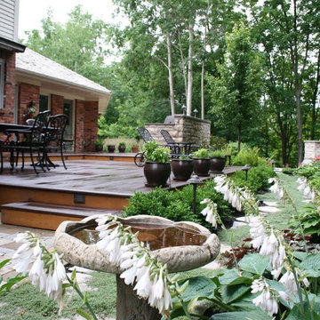 Woodland Back Yard