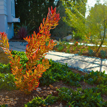 Ladera Heights Drought Tolerant Landscape