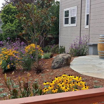 Front Yard Oasis