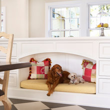 Dog Bed In Kitchen