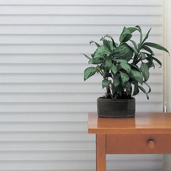 Hunter Douglas Nantucket&trade; - Window Blinds