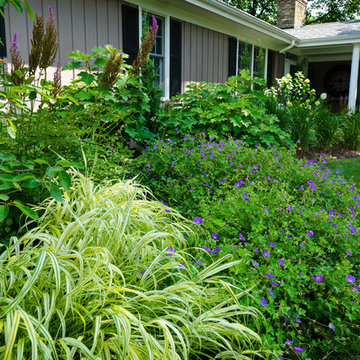 Landscape Design - Plant Combinations